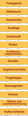 Headings