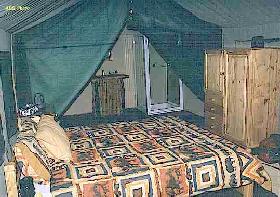 Safari Camp