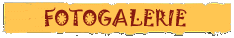 picgal.GIF (1596 bytes)